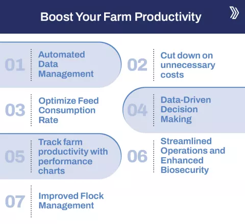 How Poultry Software Can Boost Your Farm Productivity in 7 Ways 2.jpg