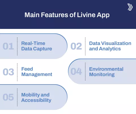 Main Features of Livine App