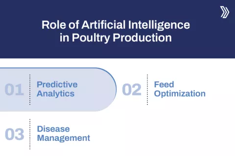 Poultry Production Planner Optimizing Operations with AI-Powered Solutions