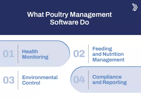 What Poultry Management Software Do.jpg