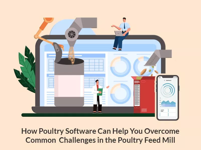 poultry software challenges in poultry feed mill