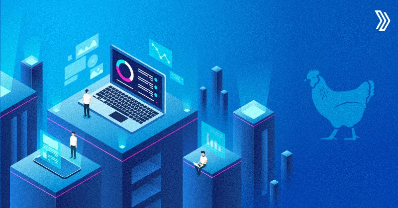 How is technology changing the management of poultry farms.jpg