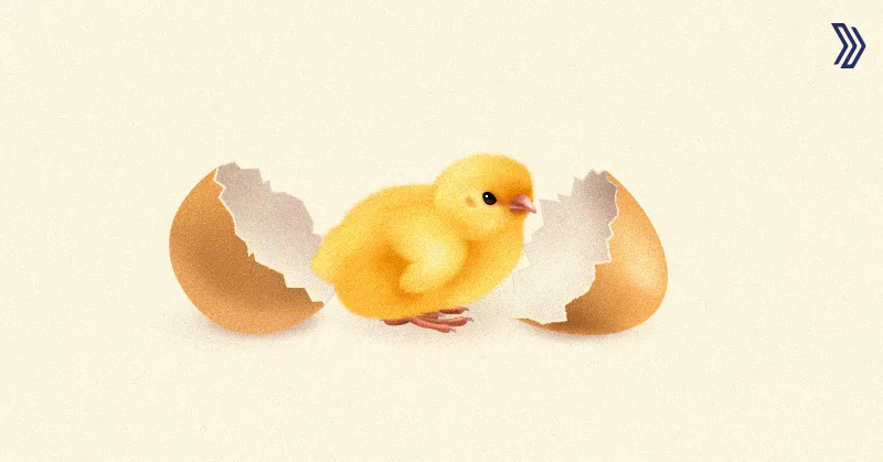 Chicken Fertility A Complete Guide.jpg